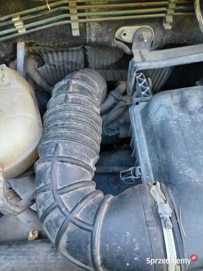 Renault master 28 dti 25 dci wszystkie części Rok produkcji 2001 Ząbkowice Śląskie