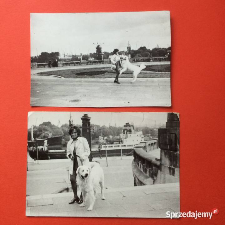 1625 Zdjęcie Szczecina zachodniopomorskie Szczecin