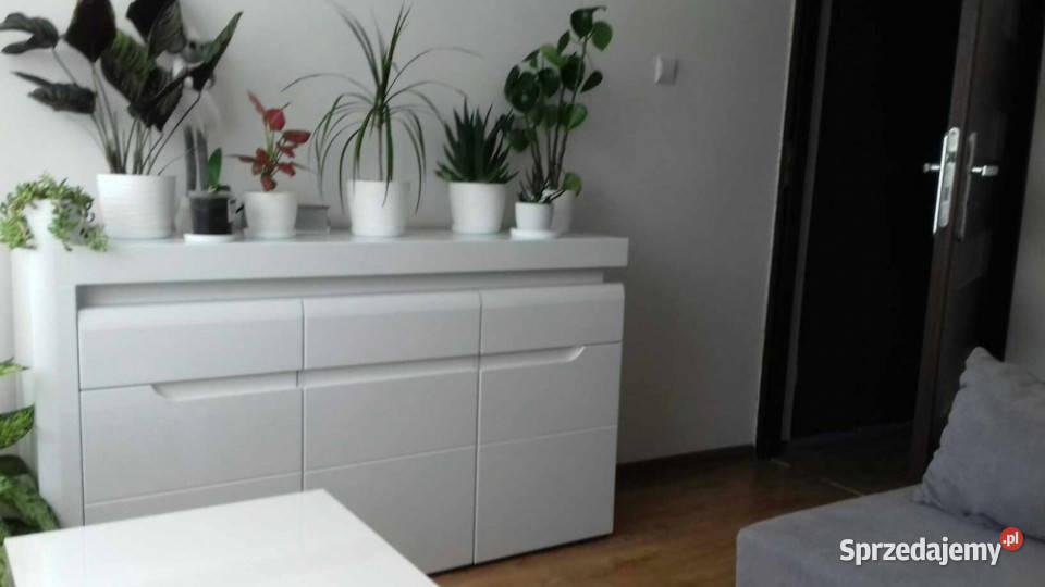 BEZ POŚREDNIKÓW SPRZEDAM Mieszkanie 4415m 2 44m2 Sosnowiec