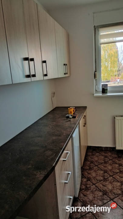 Kawalerka z tarasem Poznań