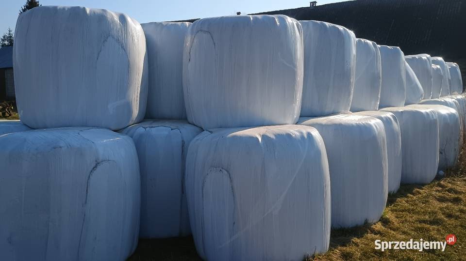 Sianokiszonka 2 pokos 2025 Jatwieź Duża