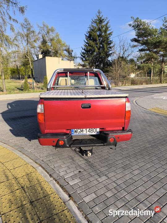 ZX grand tiger Podkowa Leśna