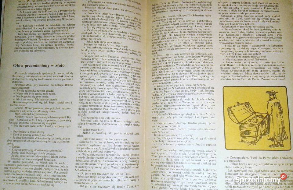 Spadek synach Słońca Aleksander Rowiński Pozostałe lubelskie Chełm