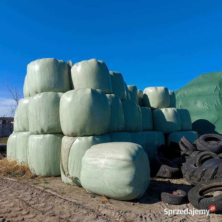 Sianokiszonka bale i siano Pozostałe Gogolin sprzedam