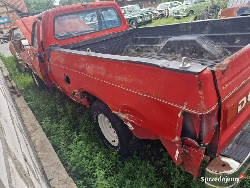 Dodge RAM Dodge Ram D100 Rocznik 1987 Silnik 318 benzyna lubuskie Sulechów sprzedam