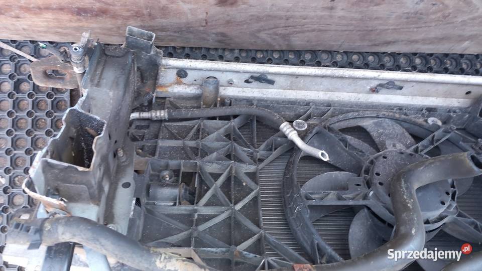 RENAULT SCENIC III 20B PAS PRZEDNI KOMPLET Zbierkowo