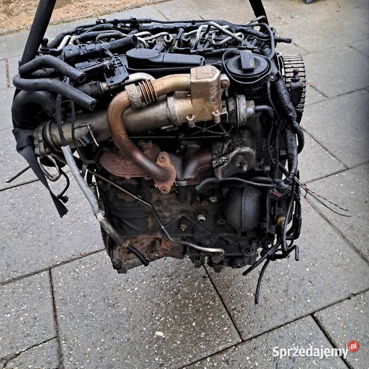Audi A4 B8 A5 Seat Exeo 20 TDi silnik kompletny Jastrzębie-Zdrój sprzedam