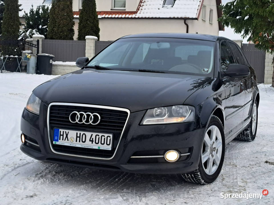 Audi A3 20 COMMON RAiL STAN KLiMAtronik halogeny isofix Olsztyn