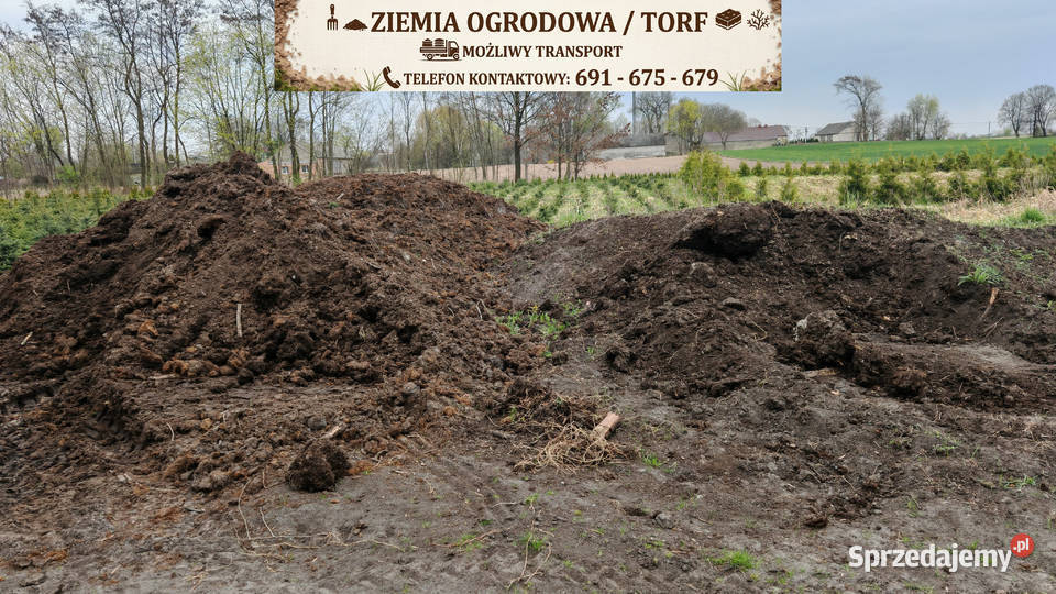 Ziemia ogrodowa podłoże ogrodowe transport Dobrzyń nad Wisłą