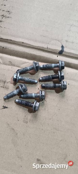 Śruby Pompy Oleju 16 HDi 9HZ Komplet Orginał