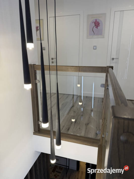 DOM kompleksowo wyposażony Piękny ogród 35 min Warszawa