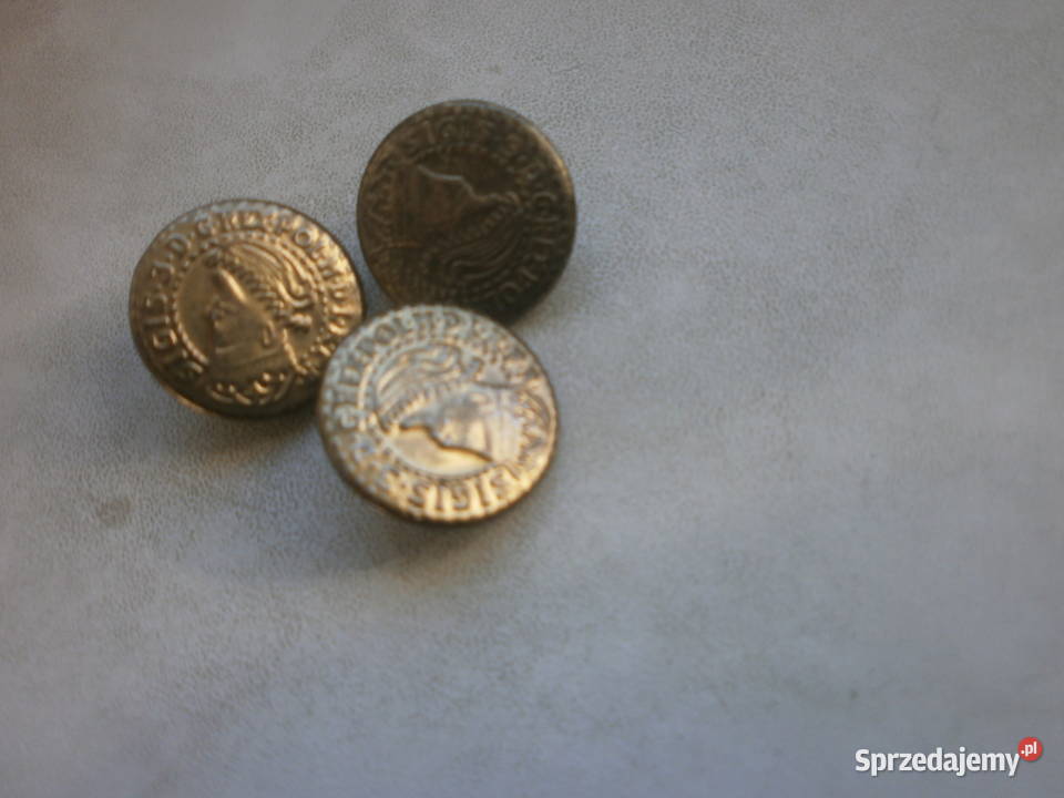 ZYGMUNT WAZA guziki lubuskie Zielona Góra