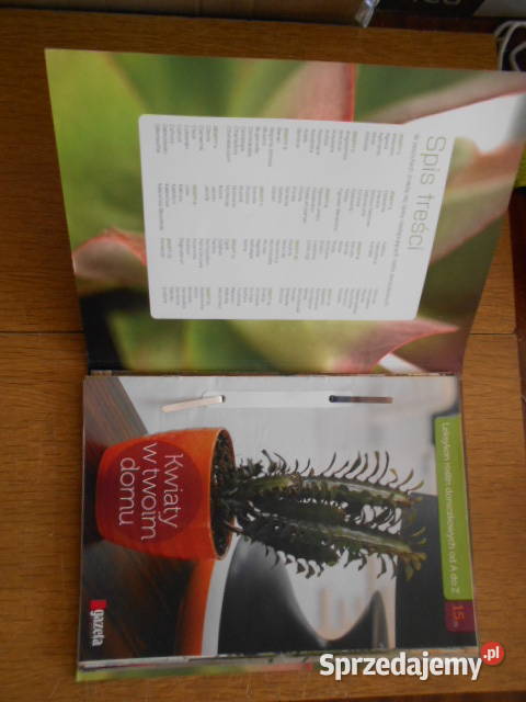 Leksykon oślin doniczkowych A do Z Kwiaty w dom i ogród lubelskie Parczew