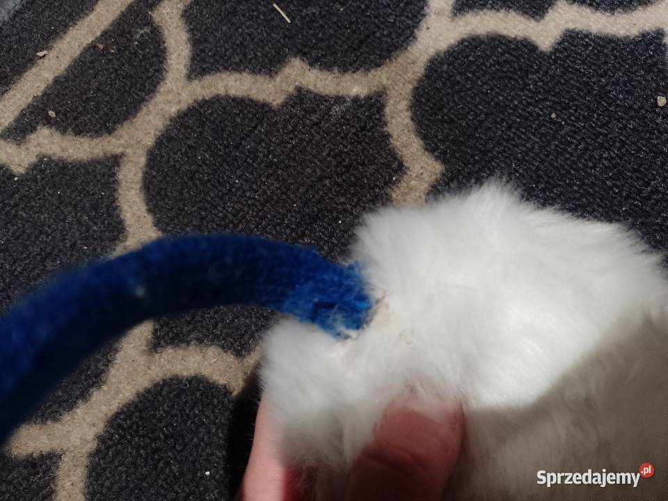 RIVER ISLANDFutrzane nauszniki Zimowe z Nakrycia głowy Kraków