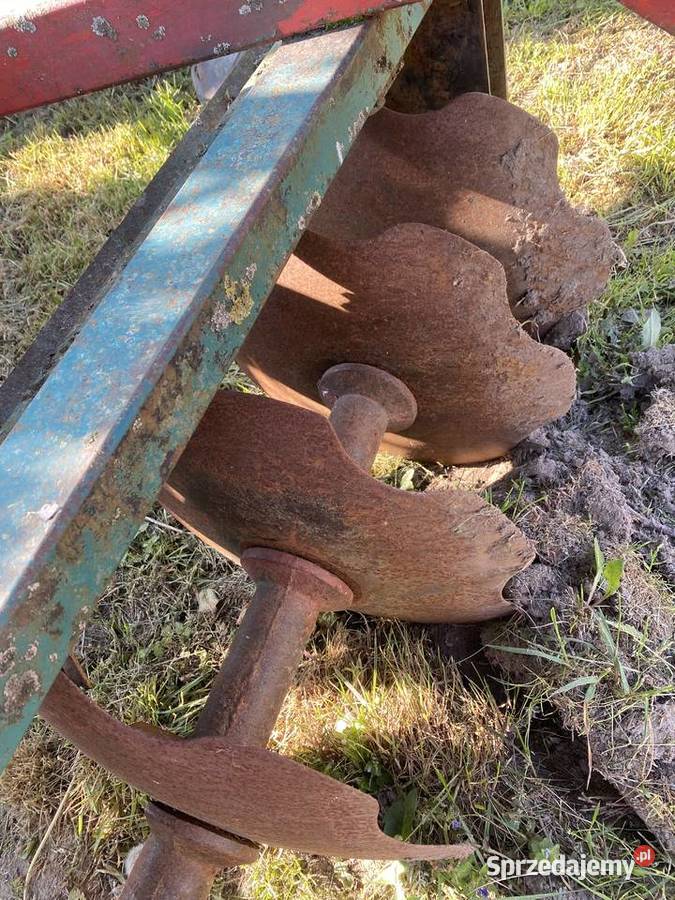 talerzówka 16m Strzepcz