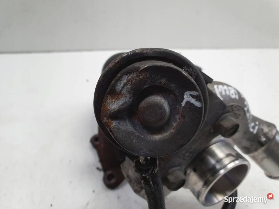TURBOSPRĘŻARKA Ford Transit MK7 VII 22 TDCI osobowe Chełm