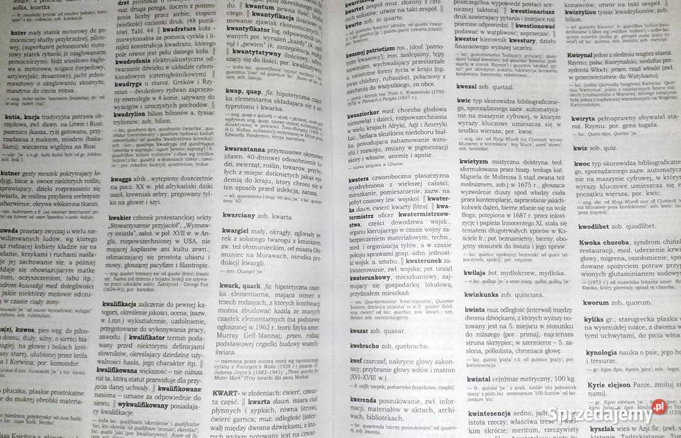 Słownik wyrazów obcych z almanachem Władysław Chełm