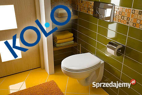 Miska ustępowa wisząca Koło IDOL M13100 biały Poznań sprzedam