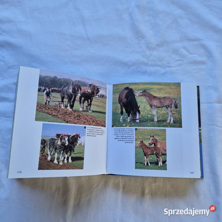 Konie 1001 fotografii książka album piękne Brzesko