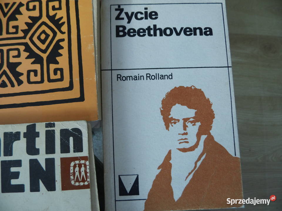 Literatura KIK Zestaw Proza ibero amerykańska Radzewice sprzedam