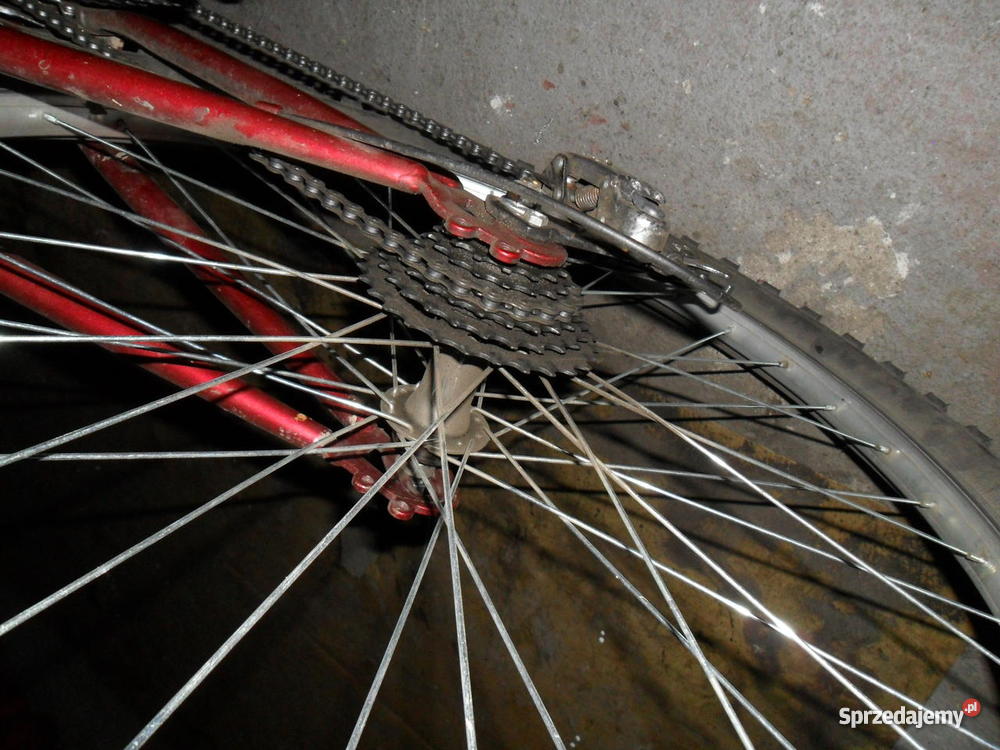 Rower górski Tiger czerwony Rowery Ruda