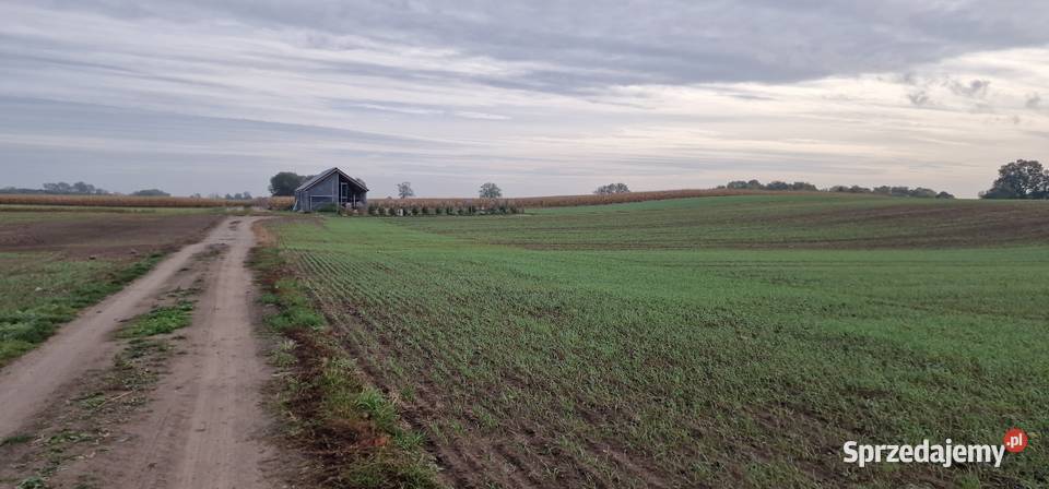 StargardKiczarowo DZIAŁKA 2728 m24WZ Stargard