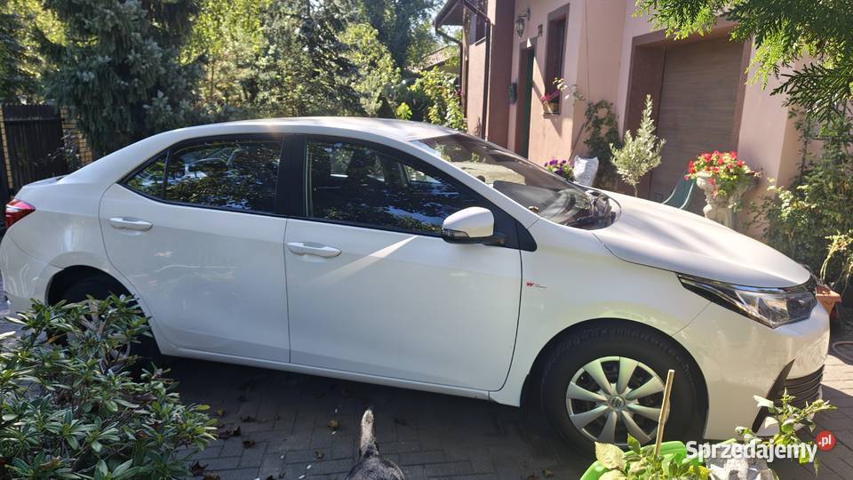 Toyota Corolla 16 Active PGLPG 2018r Żółwin