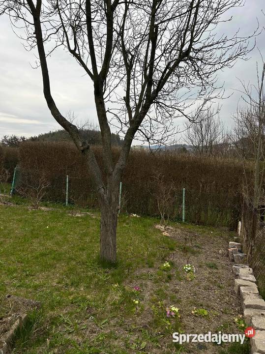 Dzialka rekreacyjna RÓŻANKA