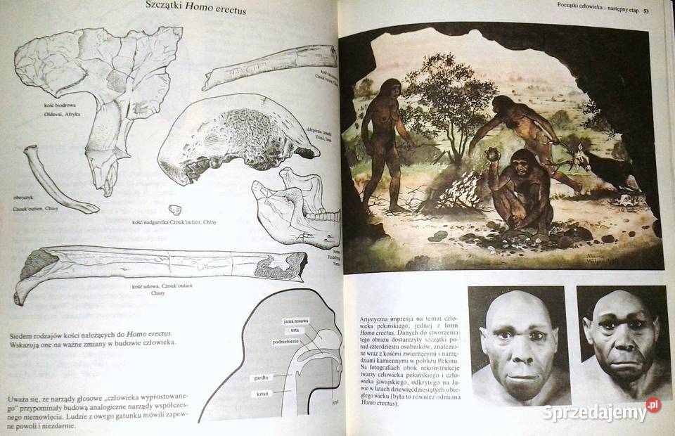 Pierwsi ludzie pierwsze cywilizacje Tom 1 John twarda lubelskie