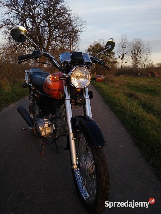 ROMET ogar 202 Władysławów