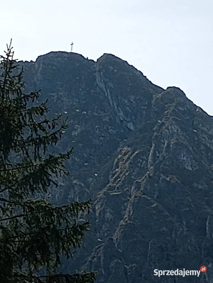 Sprzedam Motorola g31 świętokrzyskie