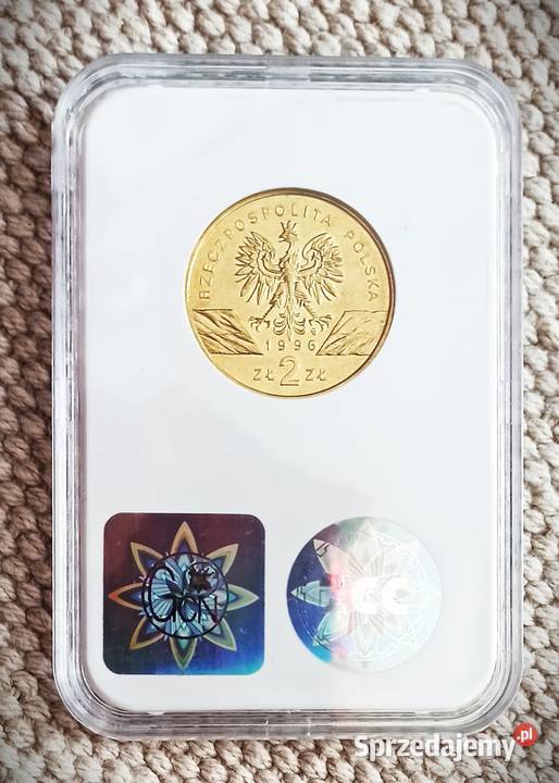 2 1996 r Jeż GCN MS65 sprzedam