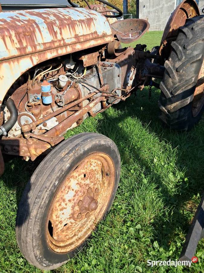 Ferguson TEA 20 benzyna Gniewkowo