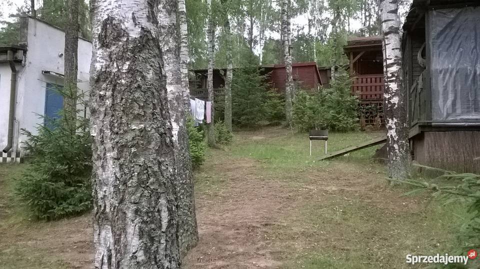 OKAZJA SPRZEDAM DOMEK LETNISKOWY DREWNIANY Domy pomorskie Gołubie