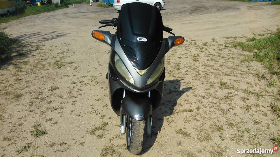 MALAGUTI MADISON 12550 Rok produkcji 2003 Łódź