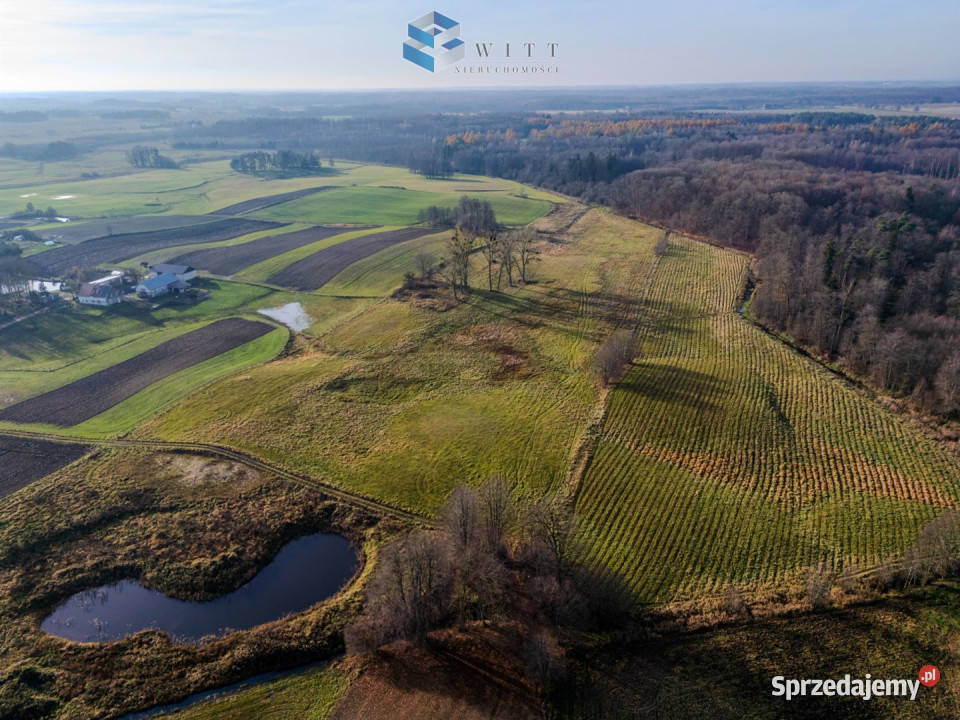 sprzedaży gruntu Jędrychówko 53400m2 sprzedam