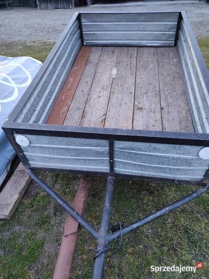 Przyczepka do auta Wielkie Oczy