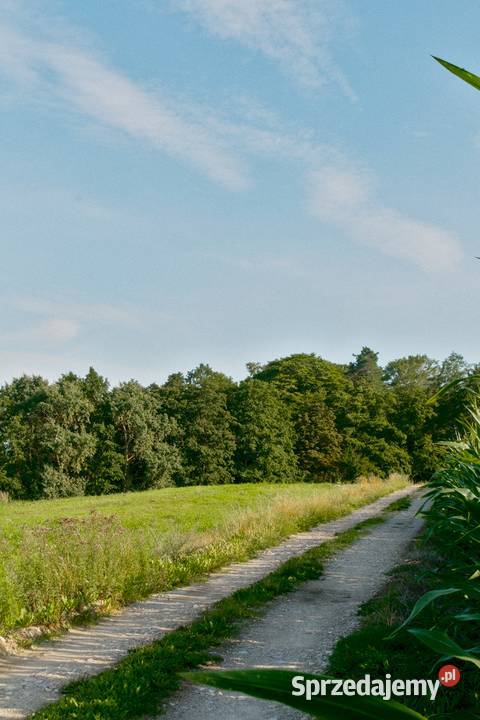 Działka jeziorem z linią brzegową i bezterminową Trąbin-Rumunki