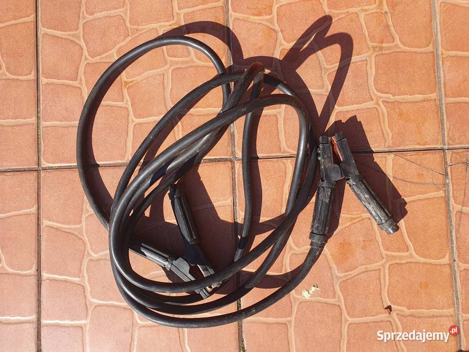 Przewody rozruchowe śląskie Cisiec