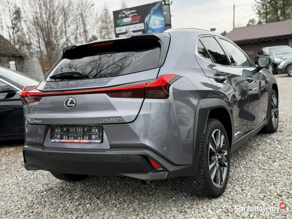Lexus UX 250 Hybrid Ful LED Premium szary Łodygowice