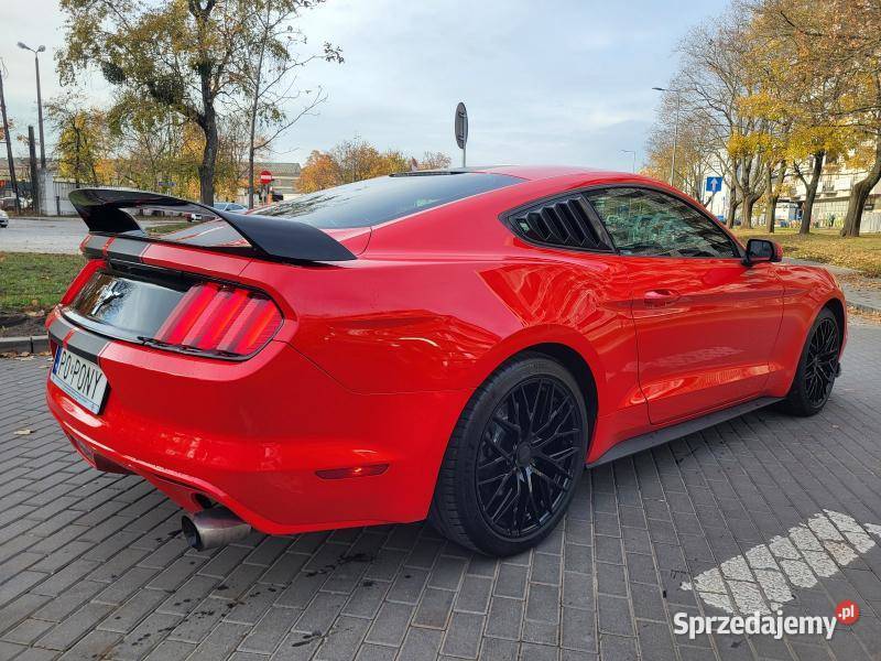 Fastback V6 37l 304Dokumentacja pochodzeniowa Warszawa sprzedam