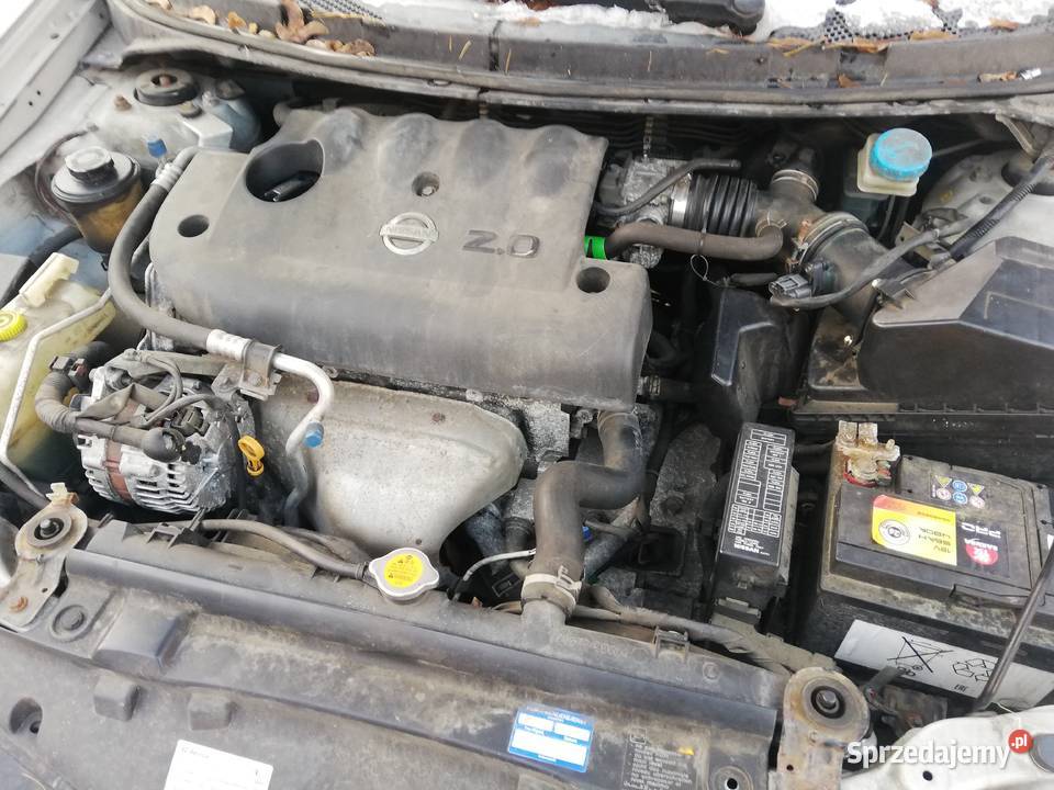 Nissan Primera P12 20 Olsztyn