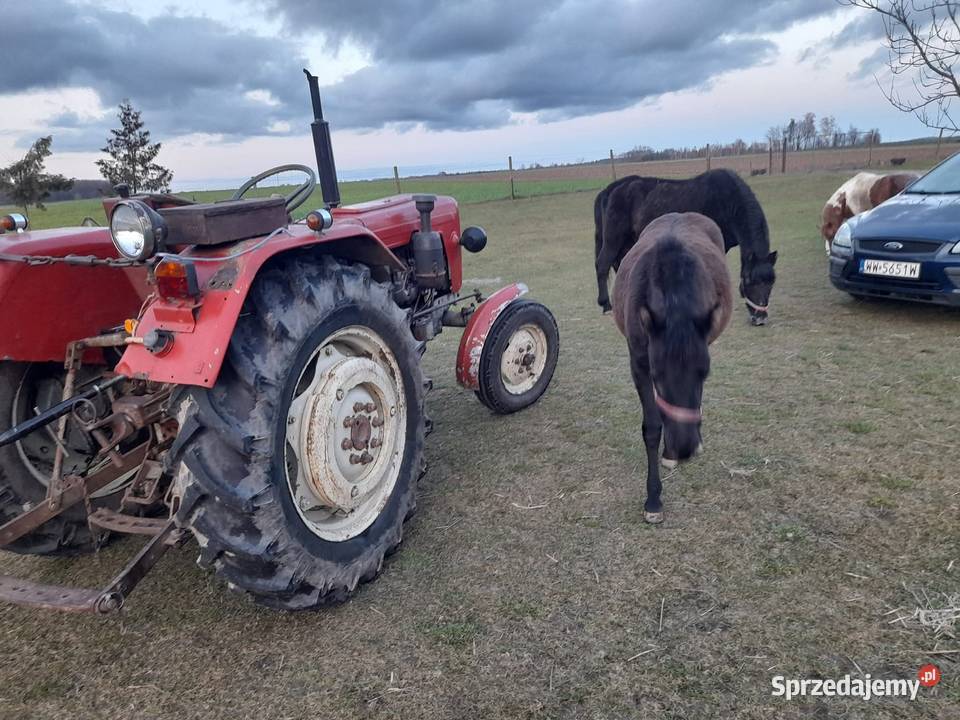 Sprzedam ładną c330 Ursus Trzebuń