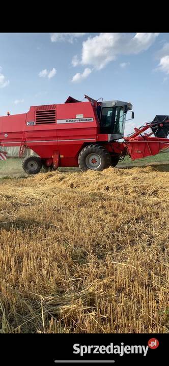 Massey Ferguson 38 40 Grodzisk Wielkopolski