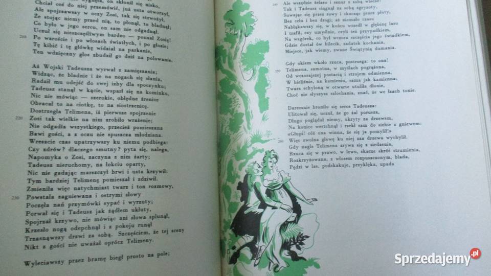 Pan Tadeusz AMickiewicz Prus Zarembina Hasek Łódź sprzedam