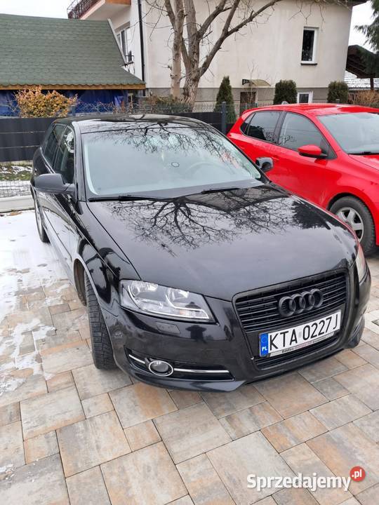 Audi a3 8p 20 TDI klimatyzacja małopolskie Zdonia