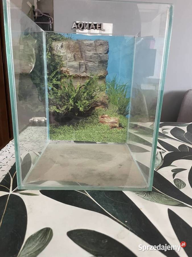 Akwarium 10l Gdańsk