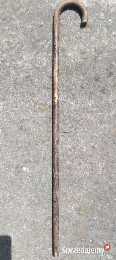 Zabytkowa laska 19001945 Koło