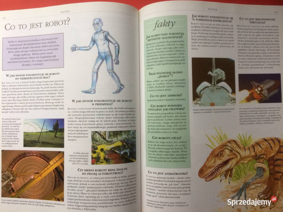 3126 Encyklopedia Szkolna Szczecin