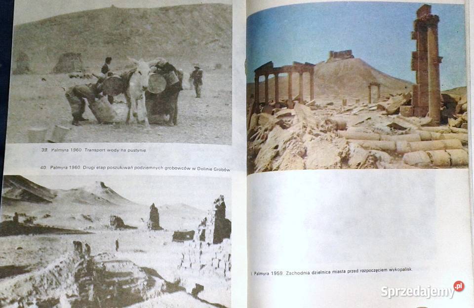 Edfu do Faras Kazimierz Michałowski Rok wydania 1983